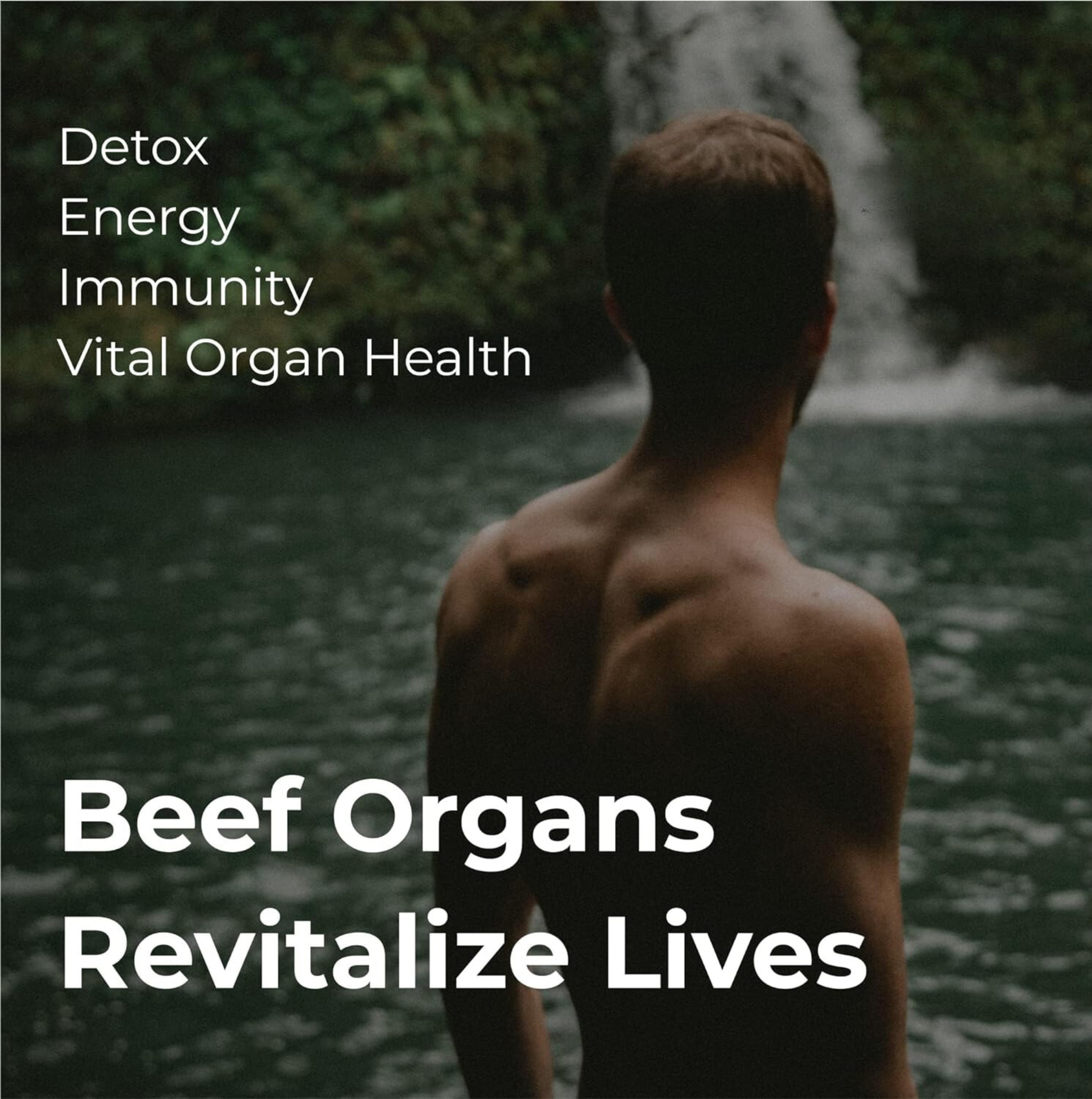 Grass Fed Beef Organ Supplement, Supports Whole Body Wellness with Proprietary Blend of Liver, Heart, Kidney, Pancreas, Spleen, Freeze-Dried Beef, Non-GMO, 180 Capsules